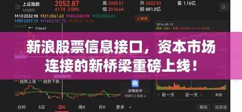 新浪股票信息接口,资本市场连接的新桥梁重磅上线!