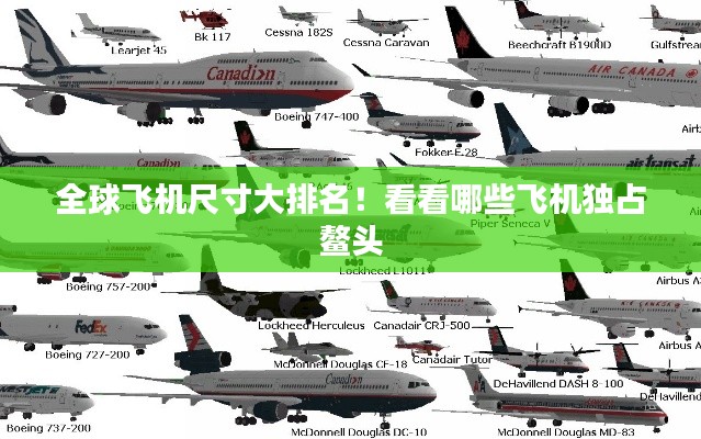 全球飞机尺寸大排名!看看哪些飞机独占鳌头