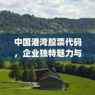 中国港湾股票代码，企业独特魅力与资本市场之旅的揭秘