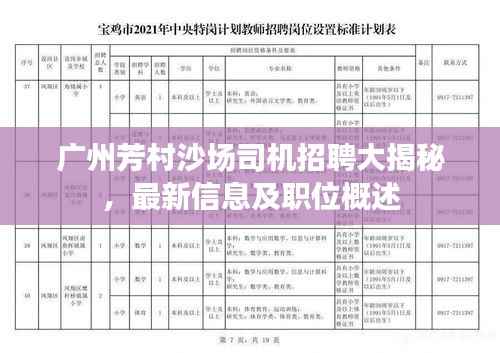 广州芳村沙场司机招聘大揭秘，最新信息及职位概述