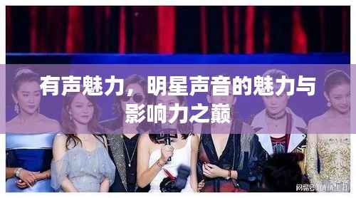 有声魅力，明星声音的魅力与影响力之巅