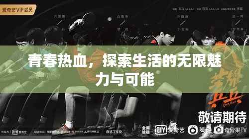 青春热血,探索生活的无限魅力与可能