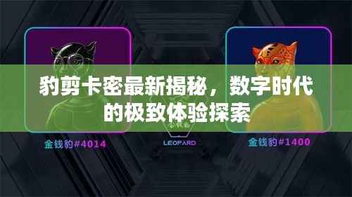 豹剪卡密最新揭秘,数字时代的极致体验探索