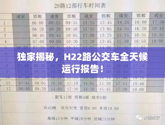 独家揭秘，H22路公交车全天候运行报告！