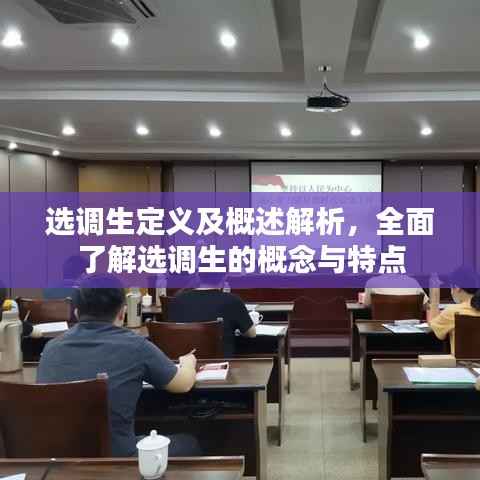 百不得一 第3页