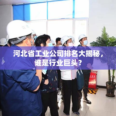 河北省工业公司排名大揭秘,谁是行业巨头?