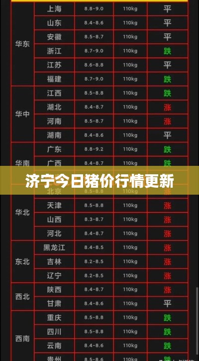 济宁今日猪价行情更新