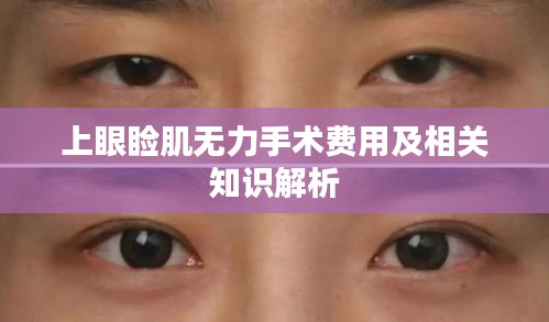 上眼睑肌无力手术费用及相关知识解析