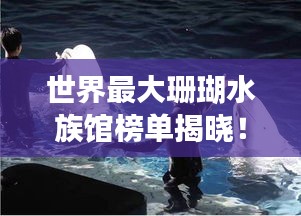 世界最大珊瑚水族馆榜单揭晓!惊艳海洋奇观,必看的海底世界之旅