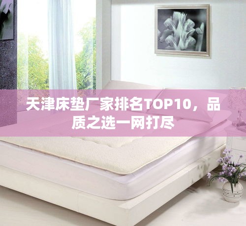 天津床垫厂家排名TOP10,品质之选一网打尽