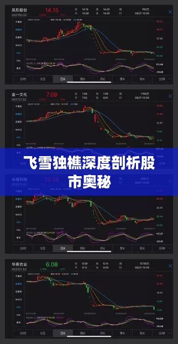 飞雪独樵深度剖析股市奥秘