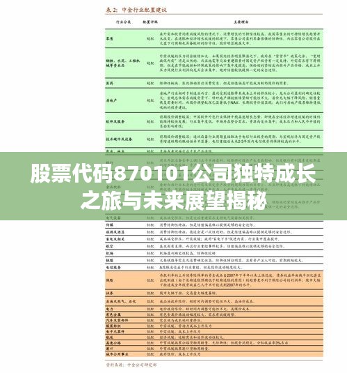 股票代码870101公司独特成长之旅与未来展望揭秘