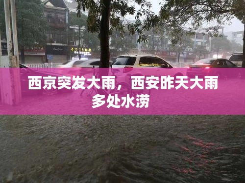 西京突发大雨,西安昨天大雨多处水涝