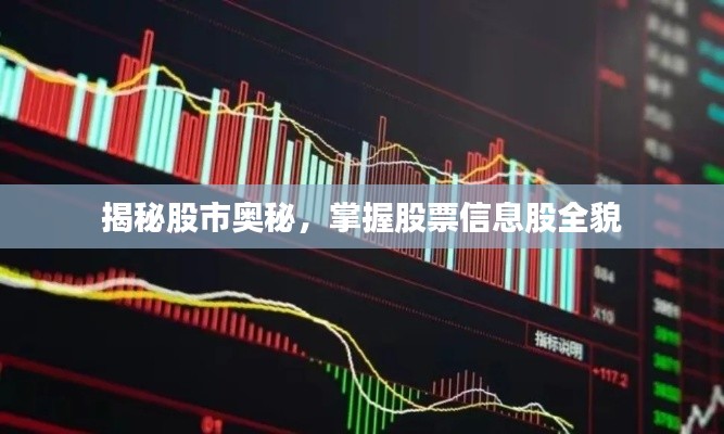揭秘股市奥秘,掌握股票信息股全貌