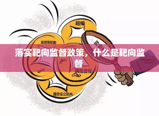 落实靶向监督政策,什么是靶向监督