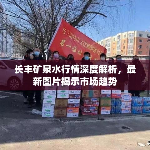 长丰矿泉水行情深度解析,最新图片揭示市场趋势