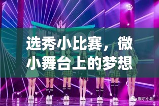 选秀小比赛,微小舞台上的梦想起航之旅