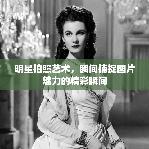 明星拍照艺术,瞬间捕捉图片魅力的精彩瞬间